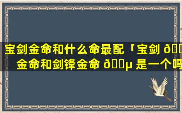 宝剑金命和什么命最配「宝剑 🐵 金命和剑锋金命 🌵 是一个吗」